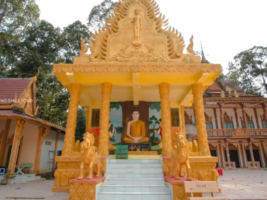 A serene and beautiful Buddha statue inside Phu Ly Pagoda, a site on the Vinh Long tour