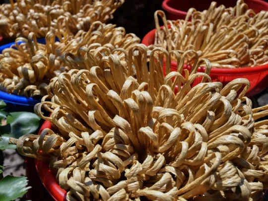 The finished, dried tofu skin product, ready for the market, showcased during the Vinh Long tour