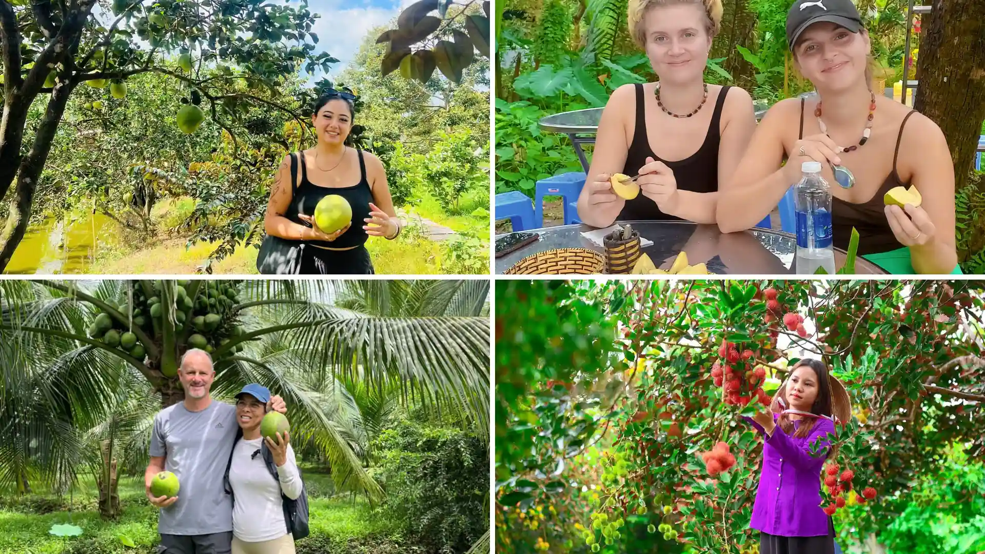 Wander through tropical fruit orchards on Son Islet Can Tho and pick seasonal fruits with local farmers